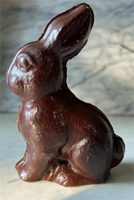Theodore Bunny Dark